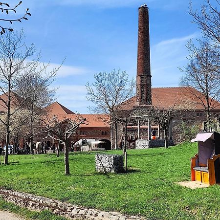 Tinyhousebeidresden 1 - Direkt Am Naturteich - Naehe Saechsische Schweiz, Dresden Grossharthau ภายนอก รูปภาพ