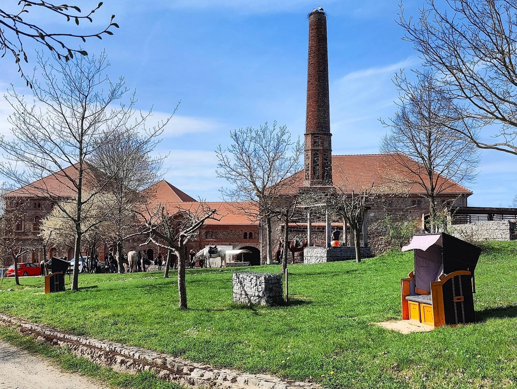 Tinyhousebeidresden 1 - Direkt Am Naturteich - Naehe Saechsische Schweiz, Dresden Grossharthau ภายนอก รูปภาพ